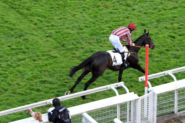Photo d'arrivée de la course pmu PRIX DE PEPINVAST à AUTEUIL le Samedi 8 avril 2017