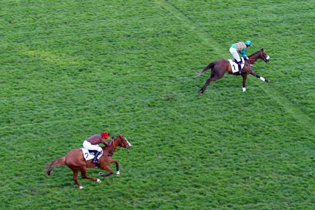 Photo d'arrivée de la course pmu PRIX CHAMPAUBERT à AUTEUIL le Samedi 8 avril 2017