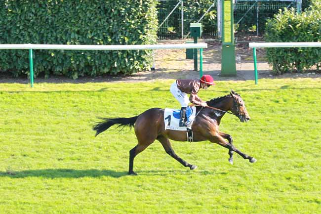 Photo d'arrivée de la course pmu PRIX SIGY à CHANTILLY le Dimanche 9 avril 2017