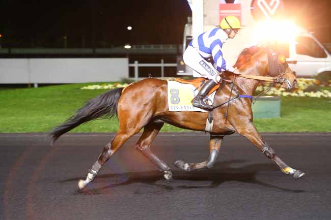 Photo d'arrivée de la course pmu PRIX BAMBERGA à PARIS-VINCENNES le Mardi 11 avril 2017