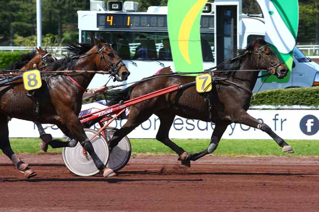 Photo d'arrivée de la course pmu PRIX DE L'UNAT à LYON-PARILLY le Mercredi 12 avril 2017