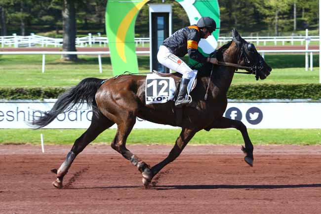 Photo d'arrivée de la course pmu PRIX DU MORBIHAN à LYON-PARILLY le Mercredi 12 avril 2017