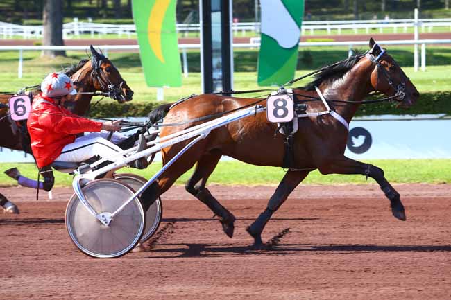 Photo d'arrivée de la course pmu PRIX DE LA BEAUCE à LYON-PARILLY le Mercredi 12 avril 2017
