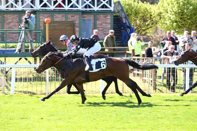 Photo d'arrivée de la course pmu PRIX DE VULAINES-SUR-SEINE à FONTAINEBLEAU le Mercredi 12 avril 2017