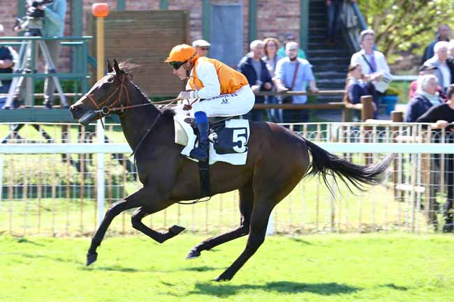 Photo d'arrivée de la course pmu PRIX DES ARBUSTES à FONTAINEBLEAU le Mercredi 12 avril 2017