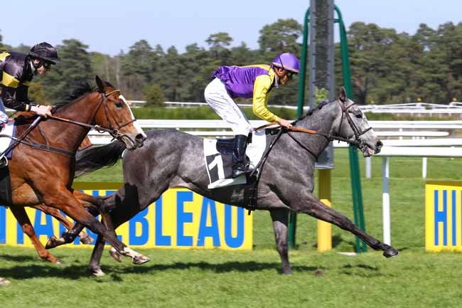 Photo d'arrivée de la course pmu PRIX DU CENTRE D'ECOTOURISME DE FRANCHARD à FONTAINEBLEAU le Mercredi 12 avril 2017