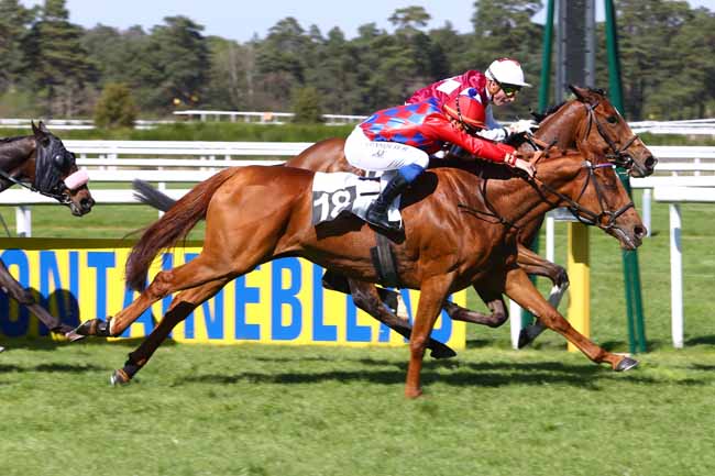 Photo d'arrivée de la course pmu PRIX DE L'ORVANNE à FONTAINEBLEAU le Mercredi 12 avril 2017