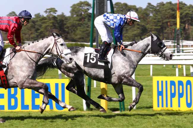 Photo d'arrivée de la course pmu PRIX DE LA FAISANDERIE à FONTAINEBLEAU le Mercredi 12 avril 2017