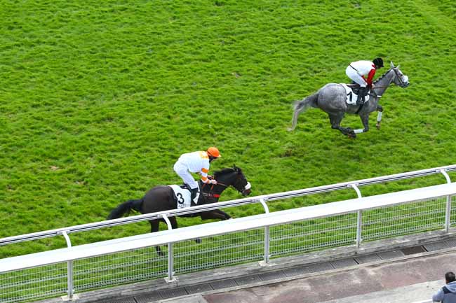 Photo d'arrivée de la course pmu PRIX CHAMPOREAU à AUTEUIL le Jeudi 13 avril 2017