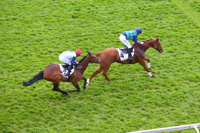 Photo d'arrivée de la course pmu PRIX ROSE OR NO à AUTEUIL le Jeudi 13 avril 2017