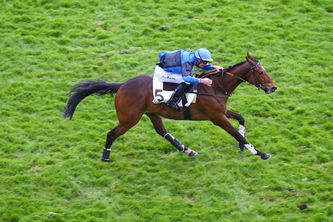Photo d'arrivée de la course pmu PRIX CLAUDE COHEN à AUTEUIL le Jeudi 13 avril 2017