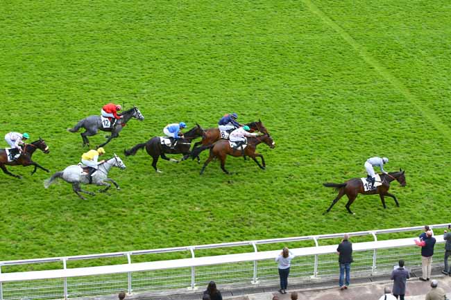 Photo d'arrivée de la course pmu PRIX NECOR à AUTEUIL le Jeudi 13 avril 2017