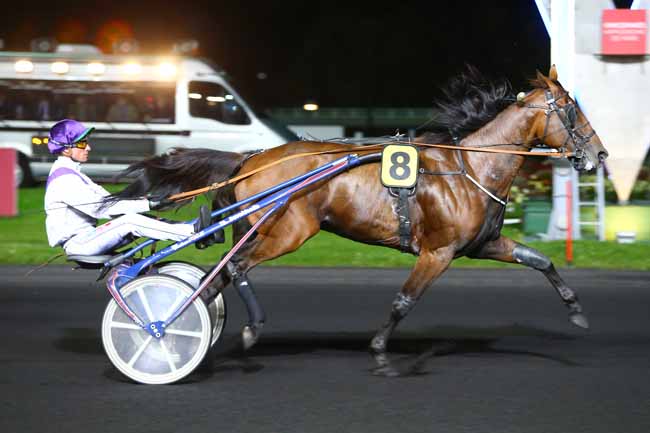 Photo d'arrivée de la course pmu PRIX ARIEL à PARIS-VINCENNES le Vendredi 14 avril 2017
