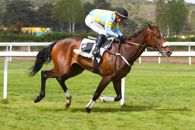 Photo d'arrivée de la course pmu PRIX DU MONT CHAUVET à FONTAINEBLEAU le Vendredi 14 avril 2017