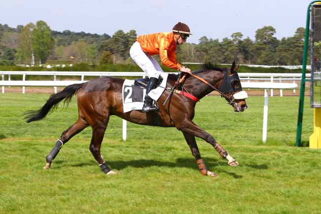 Photo d'arrivée de la course pmu PRIX DE LA BEHOURDIERE à FONTAINEBLEAU le Vendredi 14 avril 2017