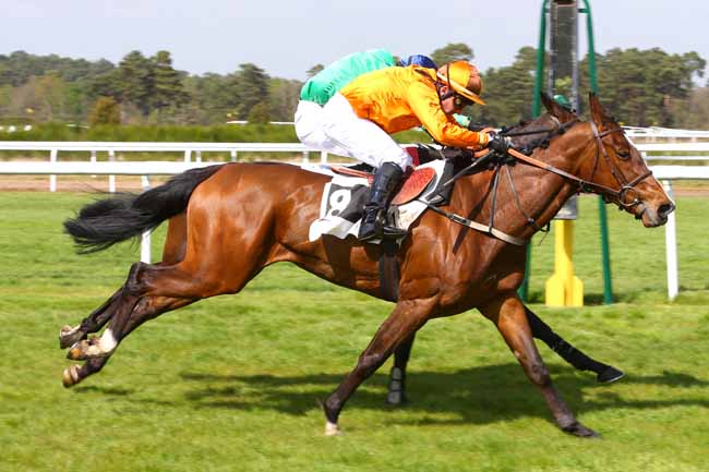 Photo d'arrivée de la course pmu PRIX QUAZVIN II à FONTAINEBLEAU le Vendredi 14 avril 2017