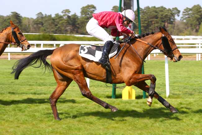 Photo d'arrivée de la course pmu PRIX CABARET MASSON à FONTAINEBLEAU le Vendredi 14 avril 2017
