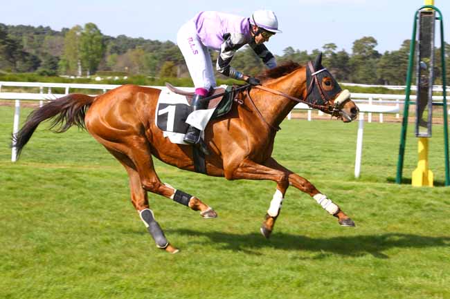 Photo d'arrivée de la course pmu PRIX DE LA CROIX DE SAINT-HEREM à FONTAINEBLEAU le Vendredi 14 avril 2017
