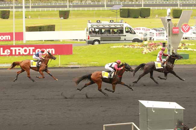 Photo d'arrivée de la course pmu PRIX HEMINE à PARIS-VINCENNES le Samedi 15 avril 2017