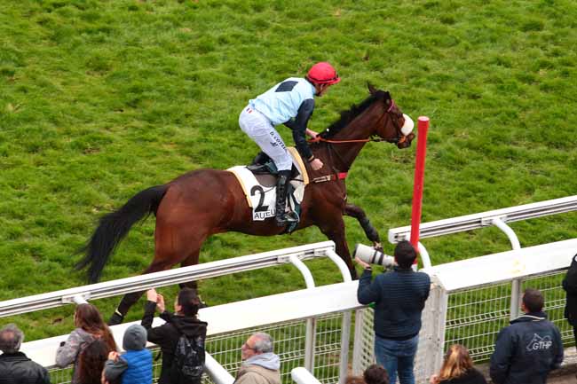 Photo d'arrivée de la course pmu PRIX LEON RAMBAUD à AUTEUIL le Lundi 17 avril 2017
