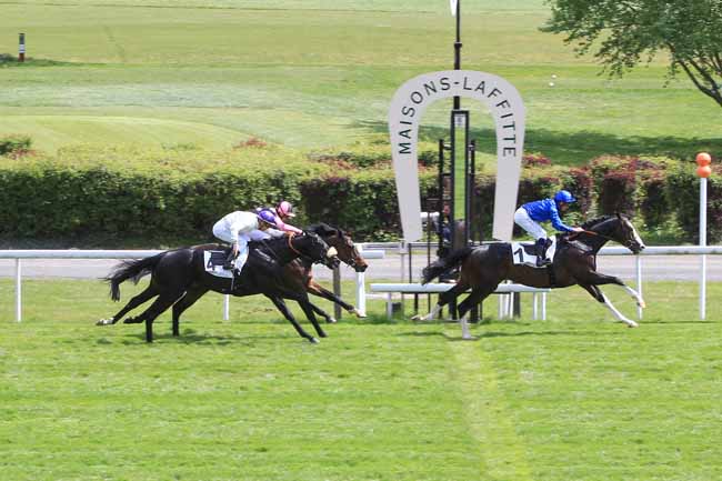 Photo d'arrivée de la course pmu PRIX LORD SEYMOUR à MAISONS-LAFFITTE le Mardi 18 avril 2017