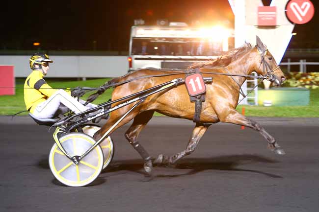 Photo d'arrivée de la course pmu PRIX PHAEO à PARIS-VINCENNES le Mardi 18 avril 2017
