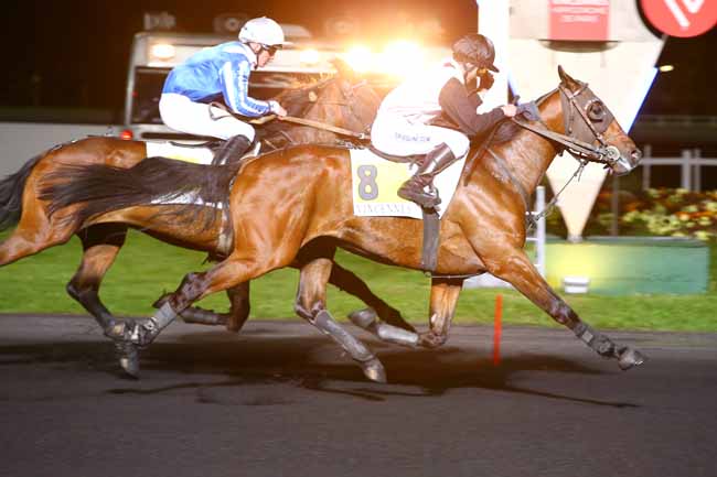 Photo d'arrivée de la course pmu PRIX ADRIA à PARIS-VINCENNES le Mardi 18 avril 2017