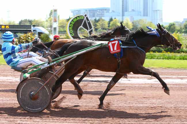 Photo d'arrivée de la course pmu PRIX DE LA VILLE DE CORDEMAIS à CORDEMAIS le Mercredi 19 avril 2017