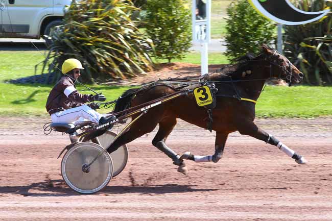 Photo d'arrivée de la course pmu PRIX DE LA VILLE DE VIGNEUX à CORDEMAIS le Mercredi 19 avril 2017