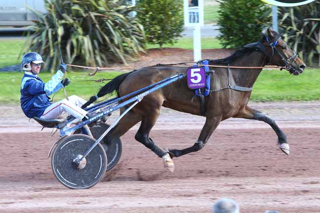 Photo d'arrivée de la course pmu PRIX DE LA VILLE DE COUERON à CORDEMAIS le Mercredi 19 avril 2017
