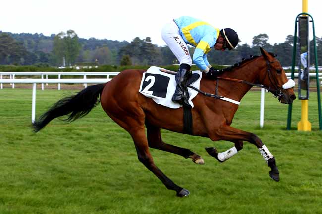 Photo d'arrivée de la course pmu PRIX MAURICE ET JEROME BERNADET à FONTAINEBLEAU le Mercredi 19 avril 2017
