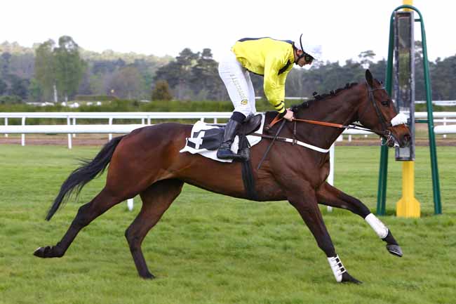 Photo d'arrivée de la course pmu PRIX BEN à FONTAINEBLEAU le Mercredi 19 avril 2017