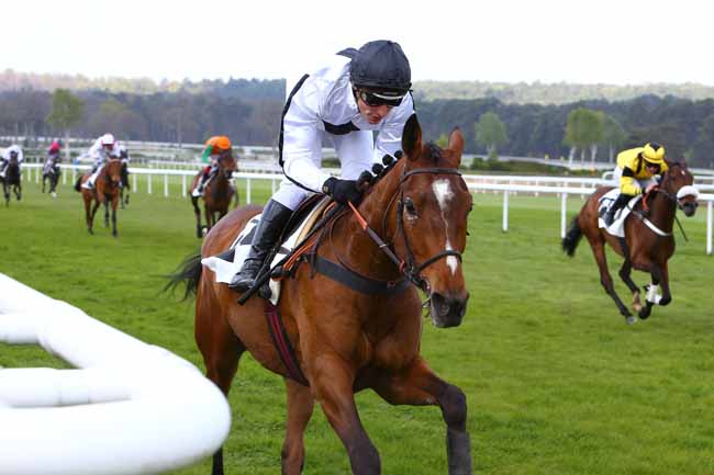 Photo d'arrivée de la course pmu PRIX JEAN TRARIEUX à FONTAINEBLEAU le Mercredi 19 avril 2017