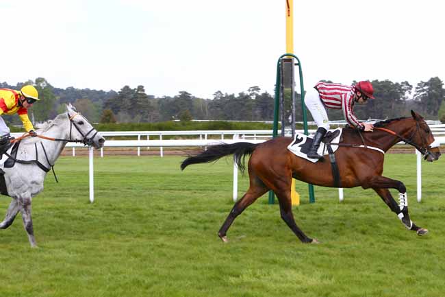 Photo d'arrivée de la course pmu PRIX MICHEL BOUCHET à FONTAINEBLEAU le Mercredi 19 avril 2017