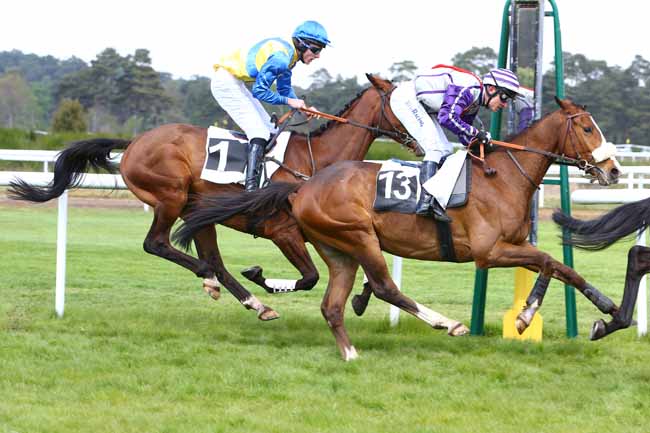 Photo d'arrivée de la course pmu PRIX ANDRE THERON à FONTAINEBLEAU le Mercredi 19 avril 2017