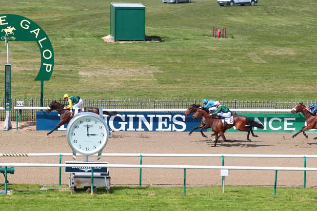 Photo d'arrivée de la course pmu PRIX DU BOIS ROSIERE à CHANTILLY le Jeudi 20 avril 2017