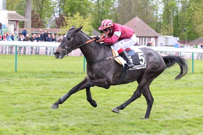 Photo d'arrivée de la course pmu PRIX DU FINISTRE à COMPIEGNE le Samedi 22 avril 2017