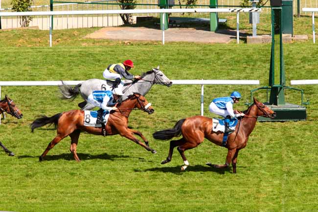 Photo d'arrivée de la course pmu PRIX NOBILIARY à SAINT-CLOUD le Dimanche 23 avril 2017