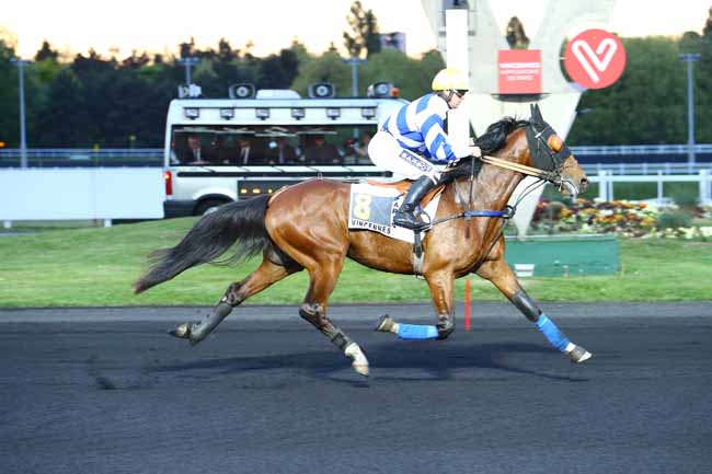 Photo d'arrivée de la course pmu PRIX HAVNIA à PARIS-VINCENNES le Mardi 25 avril 2017