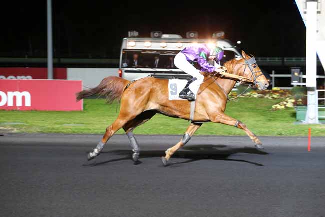 Photo d'arrivée de la course pmu PRIX MIRIAM à PARIS-VINCENNES le Mardi 25 avril 2017
