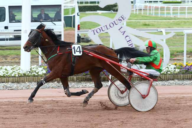 Photo d'arrivée de la course pmu PRIX TIMOKO à TOULOUSE le Mercredi 26 avril 2017