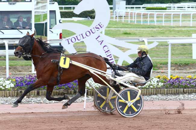 Photo d'arrivée de la course pmu PRIX BRISSAC à TOULOUSE le Mercredi 26 avril 2017