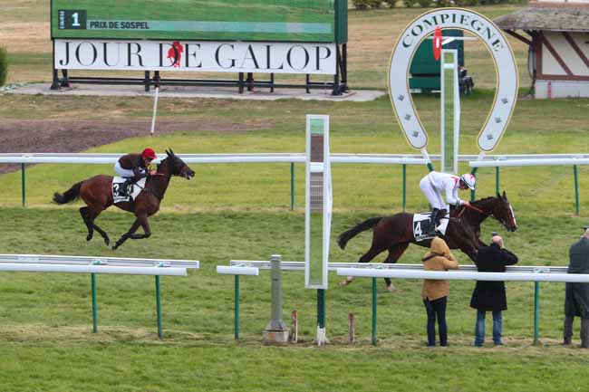 Photo d'arrivée de la course pmu PRIX DE SOSPEL à COMPIEGNE le Jeudi 27 avril 2017