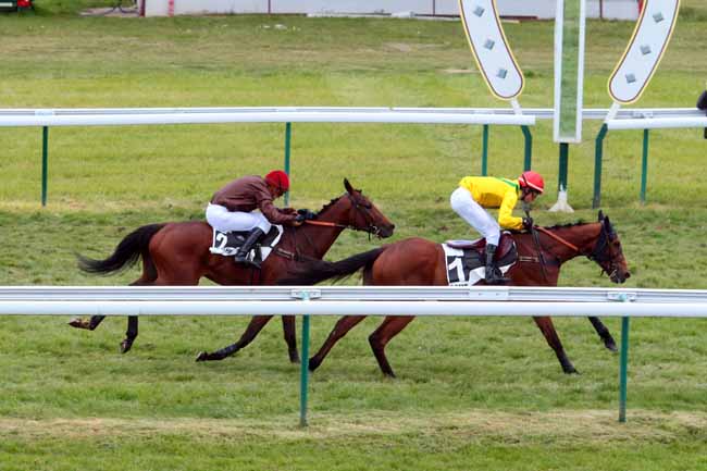 Photo d'arrivée de la course pmu PRIX HOPPER à COMPIEGNE le Jeudi 27 avril 2017