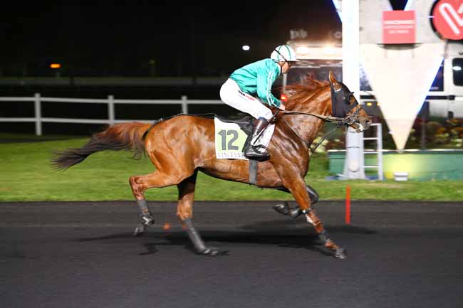 Photo d'arrivée de la course pmu PRIX ANNA à PARIS-VINCENNES le Vendredi 28 avril 2017