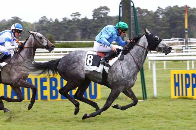 Photo d'arrivée de la course pmu PRIX DES SAULES à FONTAINEBLEAU le Vendredi 28 avril 2017
