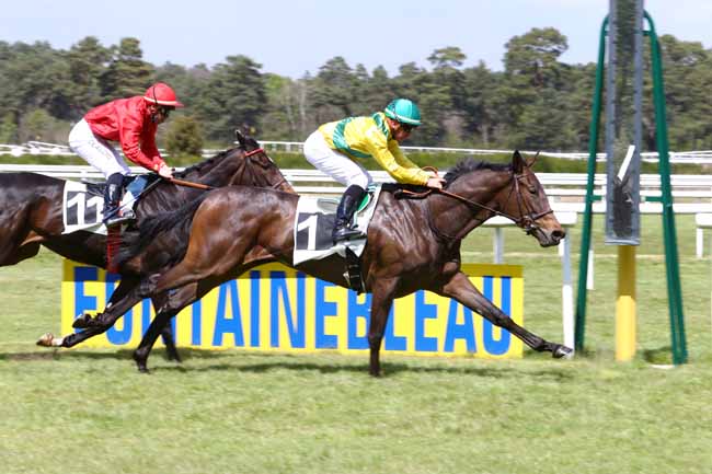Photo d'arrivée de la course pmu PRIX DE LA GROTTE AUX CRISTAUX à FONTAINEBLEAU le Vendredi 28 avril 2017