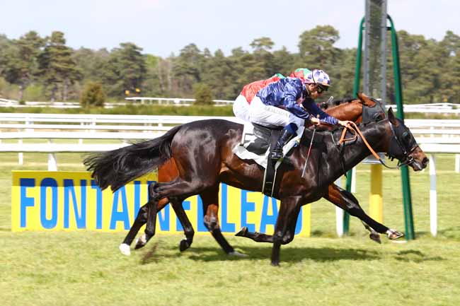 Photo d'arrivée de la course pmu PRIX DE LA FONTAINE DESIREE à FONTAINEBLEAU le Vendredi 28 avril 2017