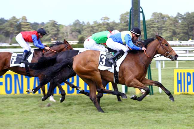 Photo d'arrivée de la course pmu PRIX DE LA PLAINE DES SABLONS à FONTAINEBLEAU le Vendredi 28 avril 2017