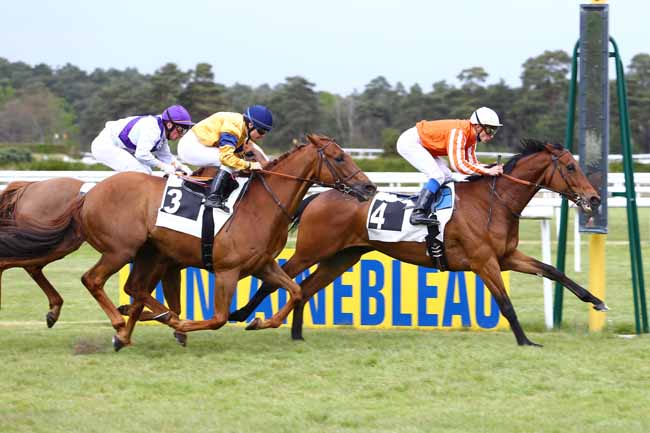 Photo d'arrivée de la course pmu PRIX DE BOIS-LE-ROI à FONTAINEBLEAU le Vendredi 28 avril 2017
